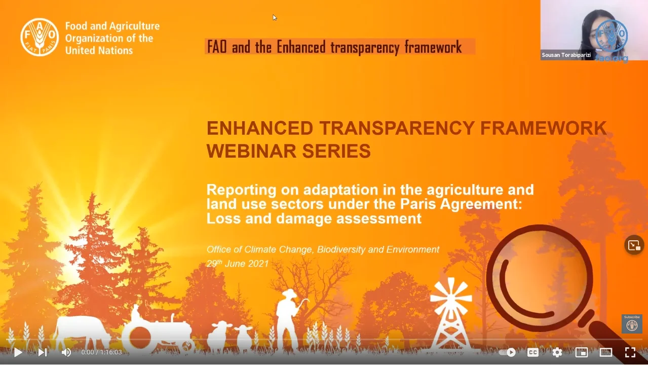 Webinar: Reporting on adaptation in the agriculture and land use secto