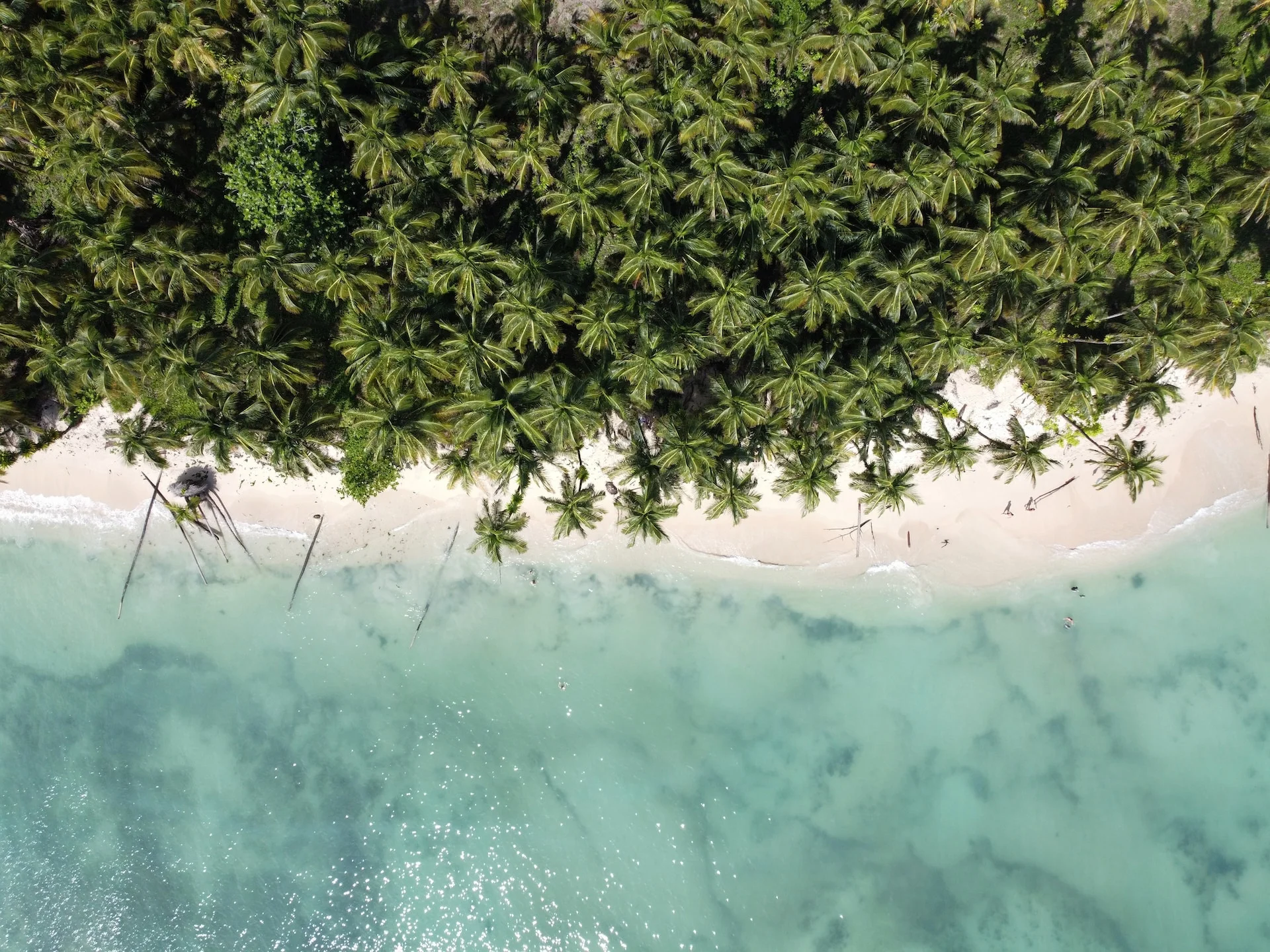 New Climate Action Transparency Hub Launched for Central American Countries