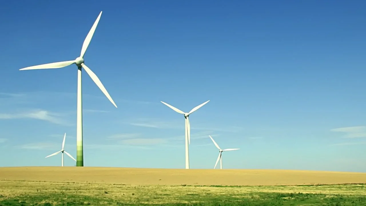 Transparency in the Covid-19 recovery: Virtual conference seeks climate and sustainable development synergies