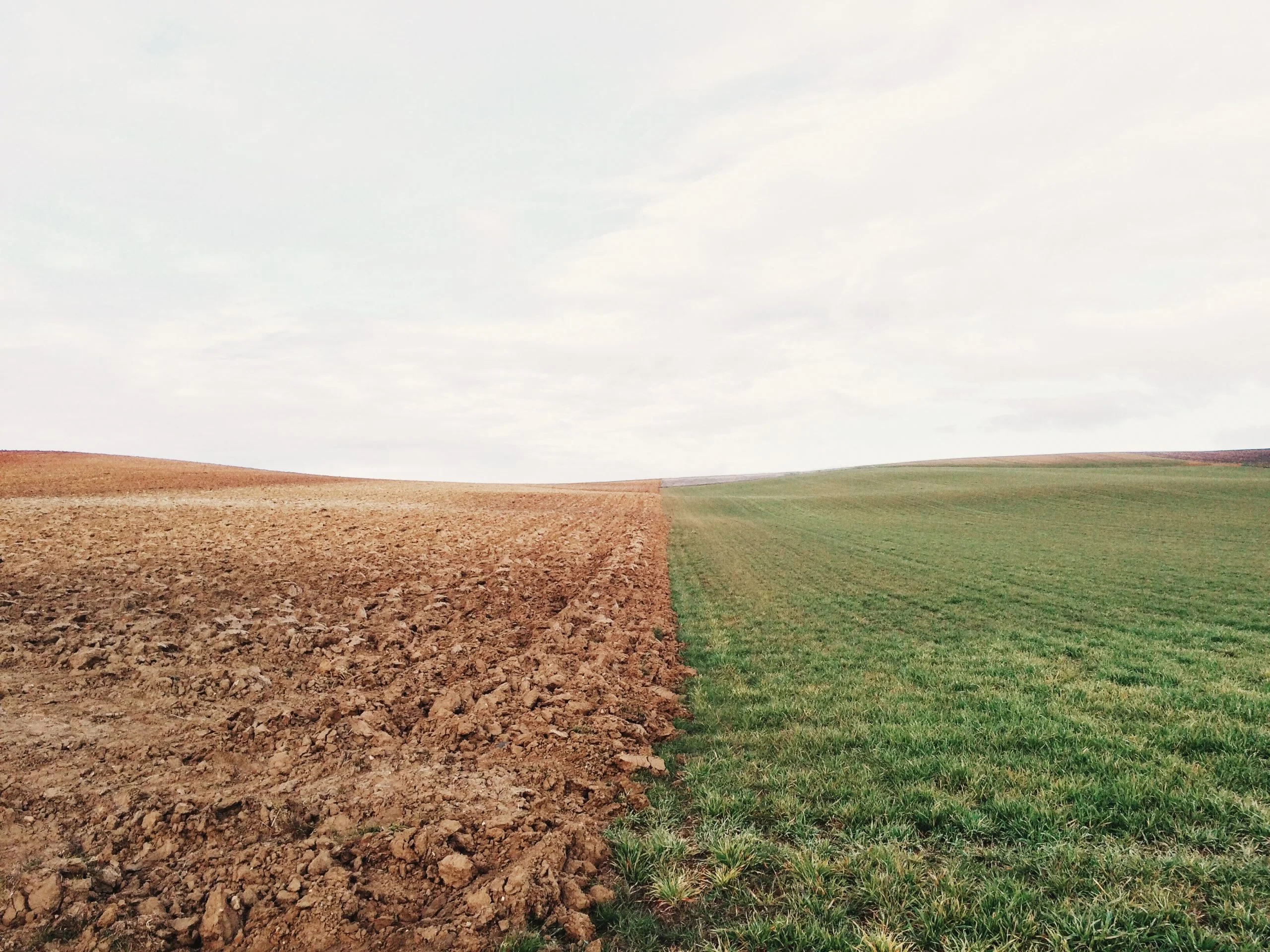 New transparency guides for decision makers addressing climate change 