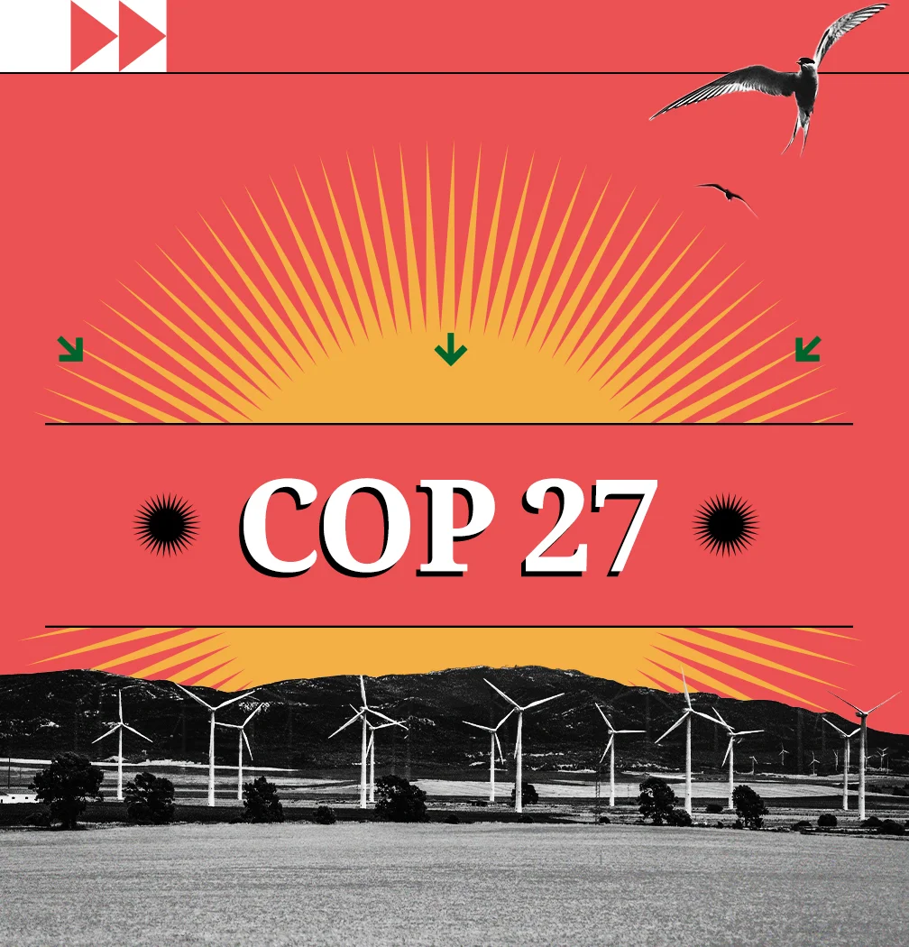 Report: ICAT at COP27