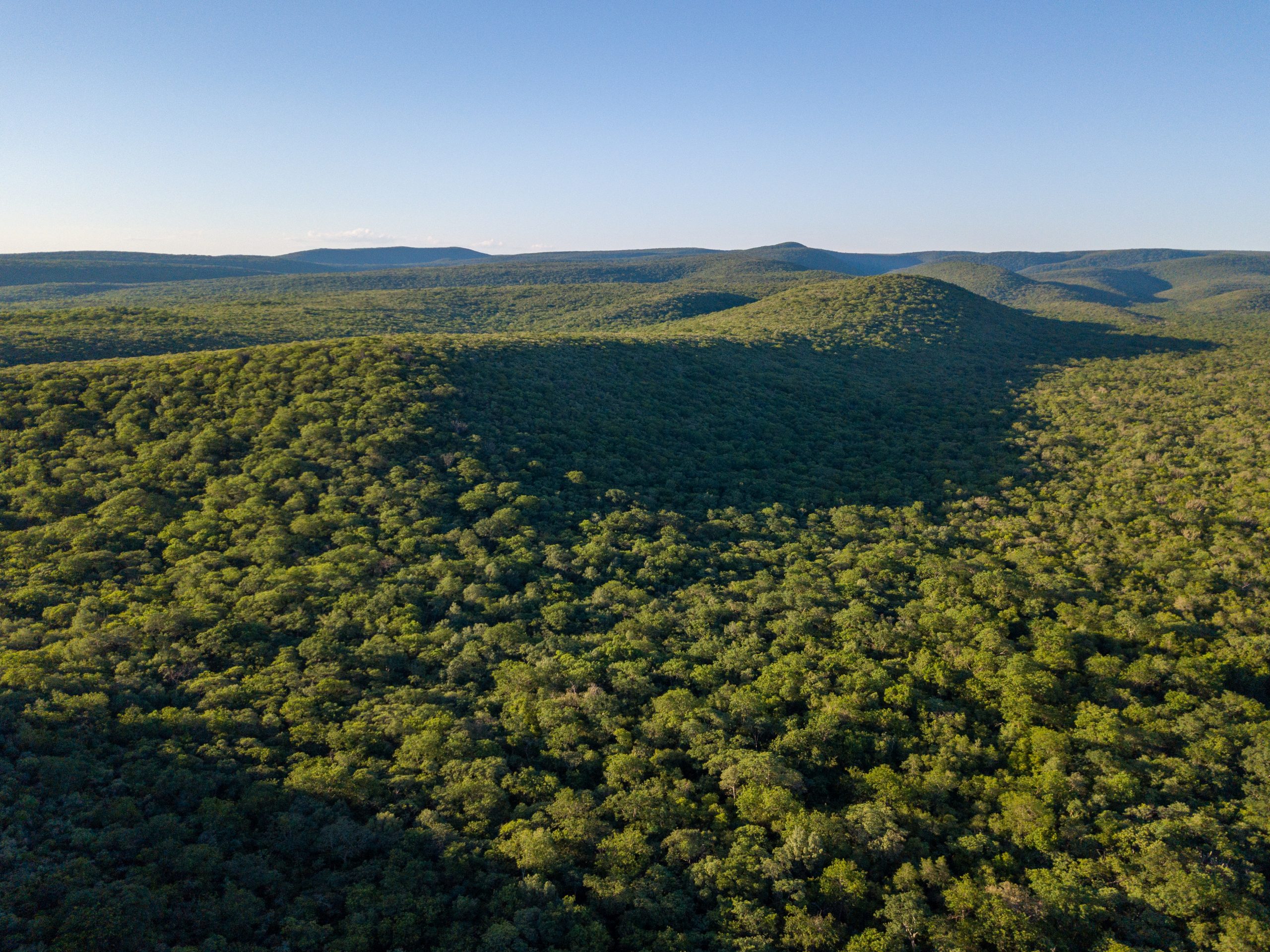 bd135032f6_DJI_0123-scaled.jpg