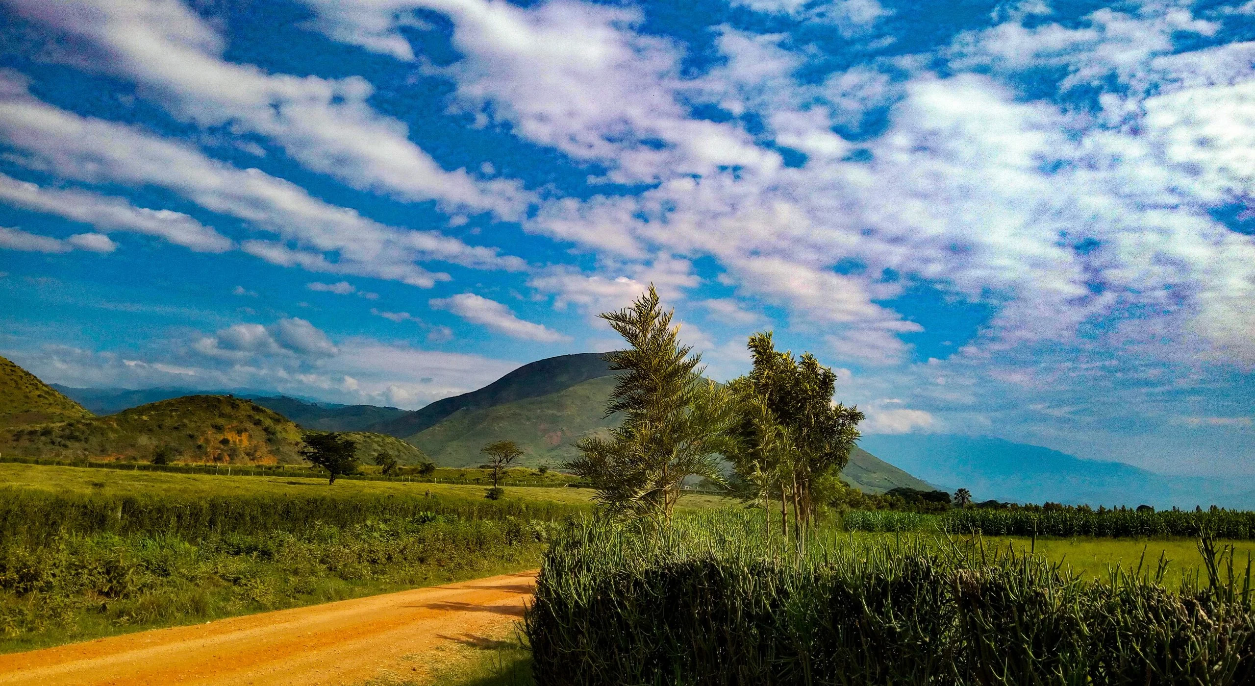 ICAT project launched in Uganda to strengthen climate transparency in 