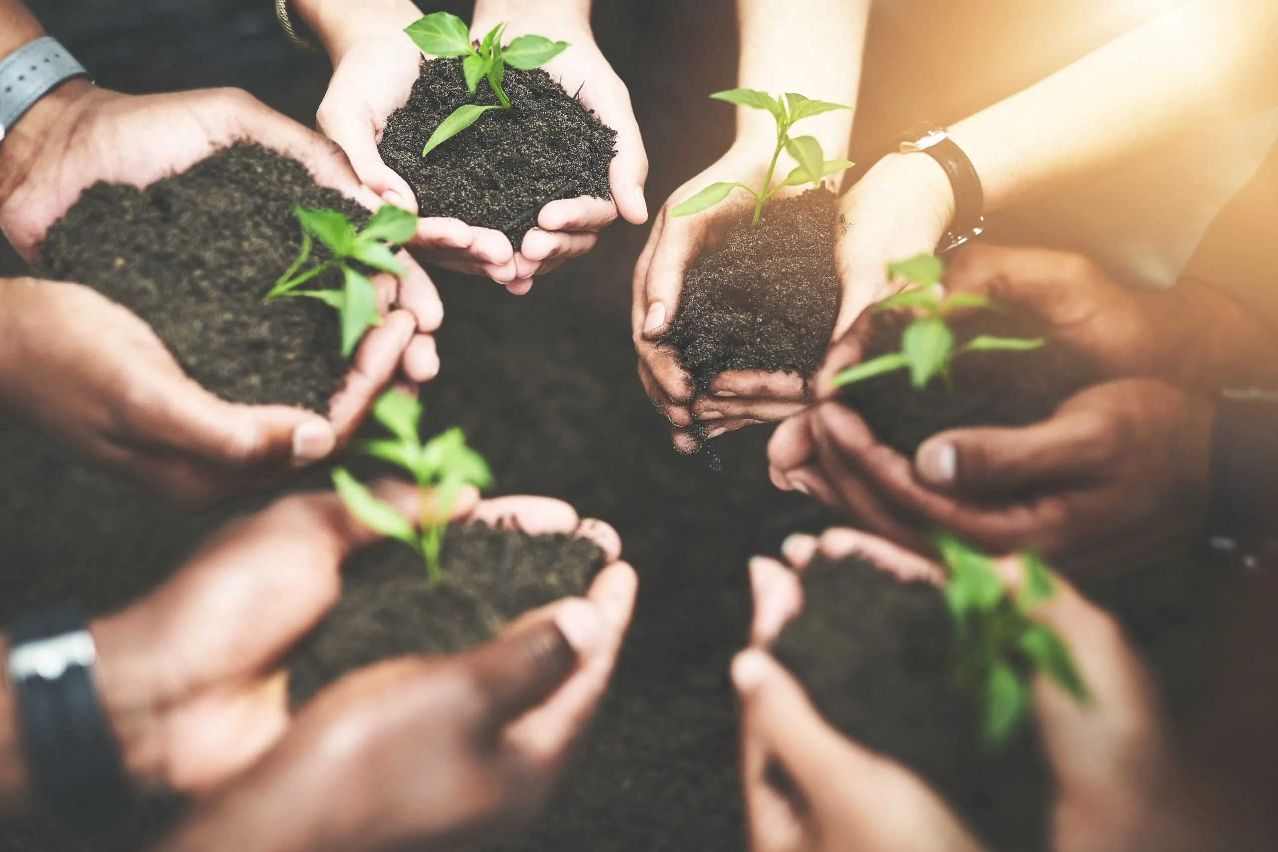 Webinaires: Présentation des guides sur le développement durable et la