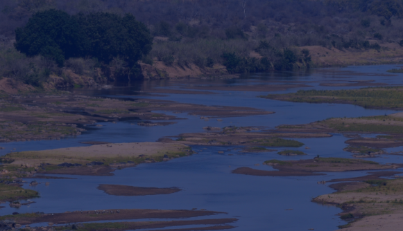 How Central Africa Is Building Its Own Climate Transparency Expertise
