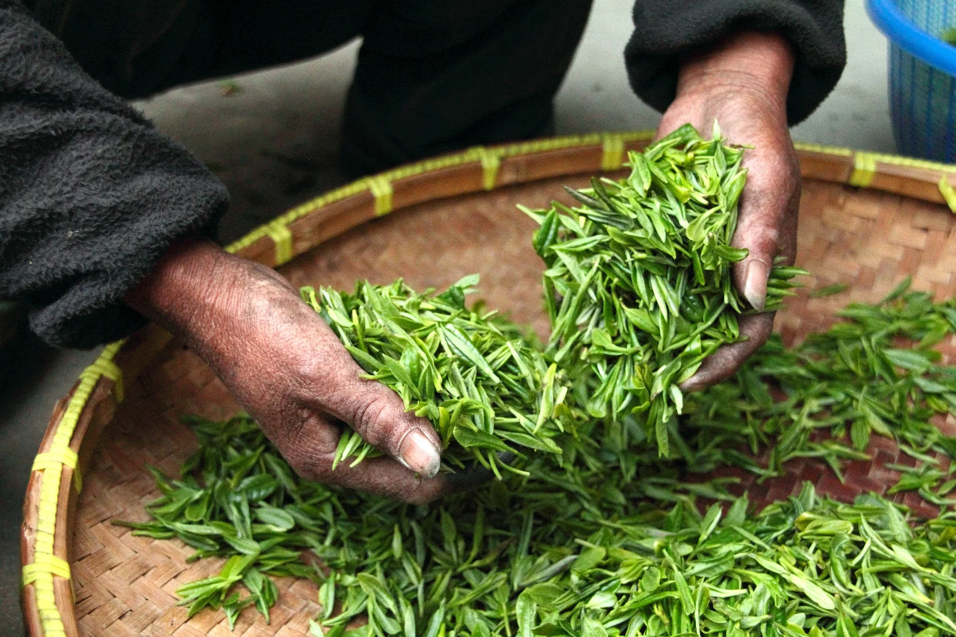Reporting adaptation through the biennial transparency report: A practical explanation of the guidance