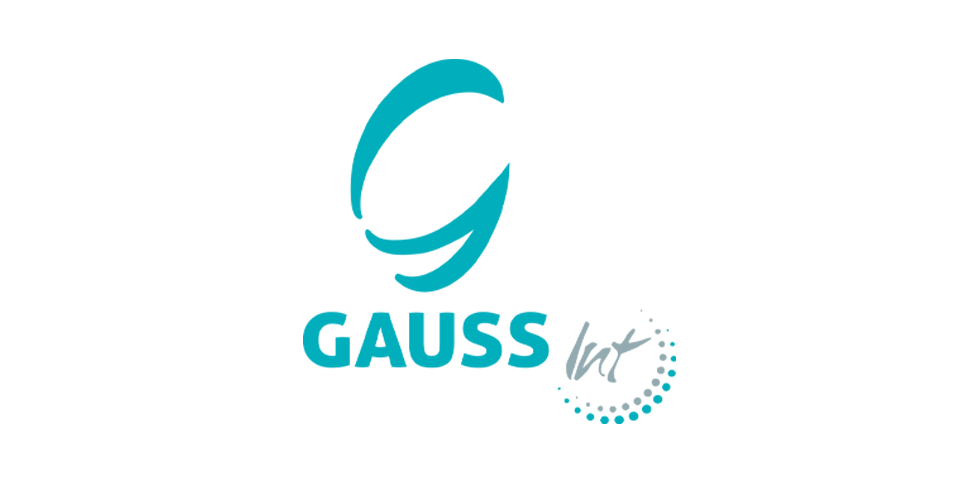 Gauss International Consulting